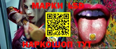 соль ск Будённовск