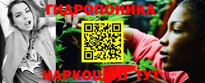 соль ск Будённовск